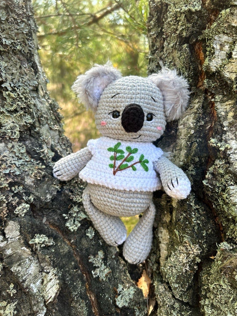 Koala w koszulce - dodatkowe zdjęcie 3